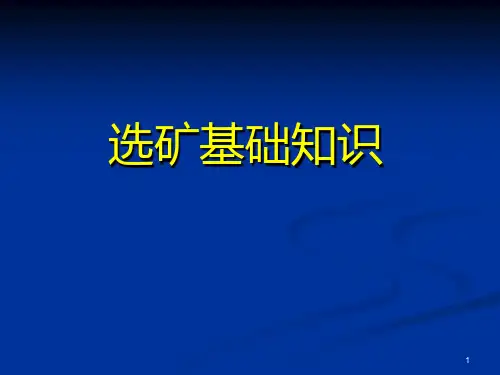 选矿基础知识ppt课件