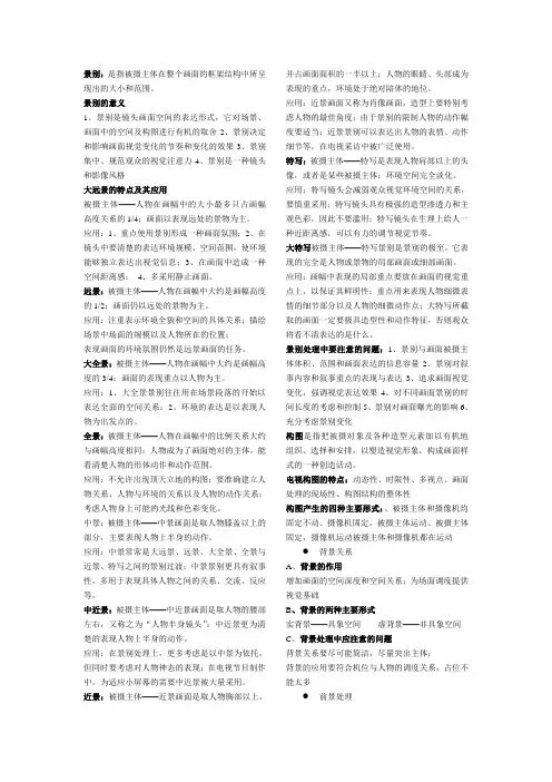 体育摄像word