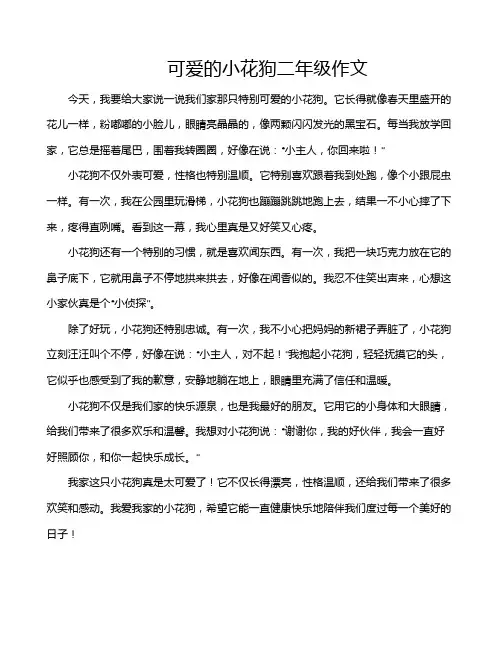 可爱的小花狗二年级作文