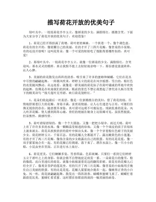 描写荷花开放的优美句子