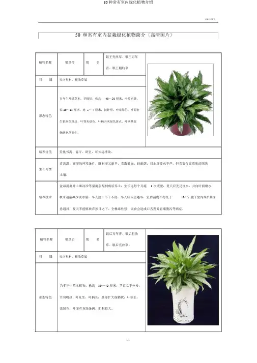 50种常见室内绿化植物介绍