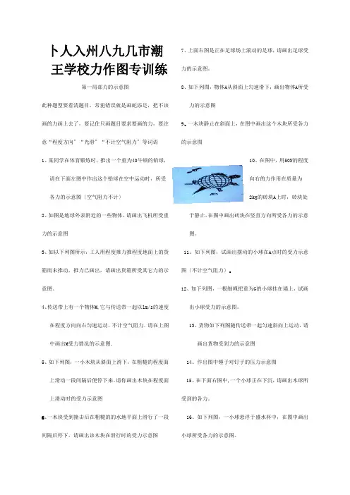 中考物理力学作图分类复习专题训练试题