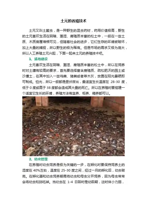 土元的养殖技术