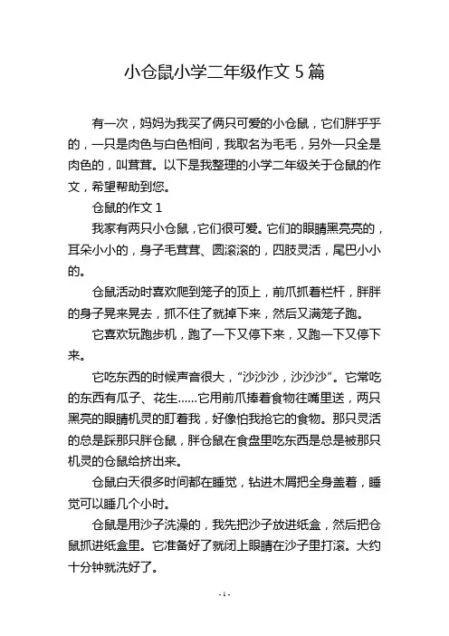 小仓鼠小学二年级作文5篇