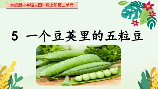 一个豆荚里的五粒豆ppt课件