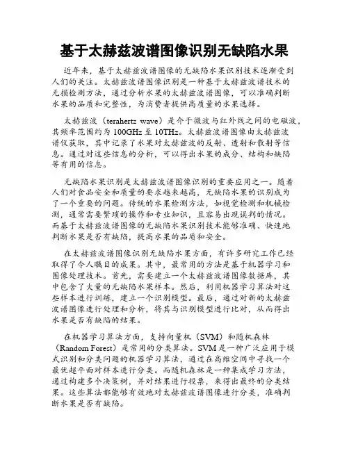 基于太赫兹波谱图像识别无缺陷水果