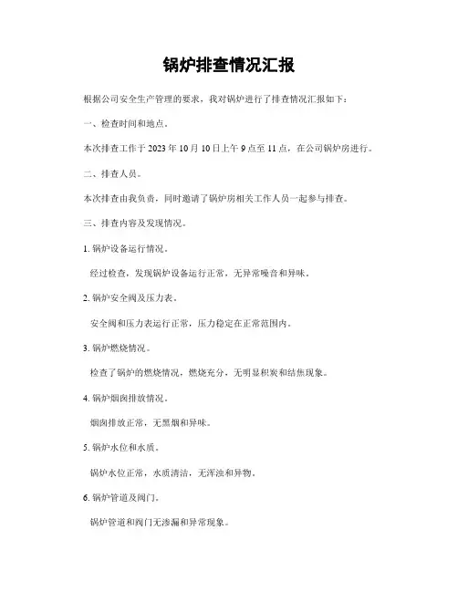 锅炉排查情况汇报