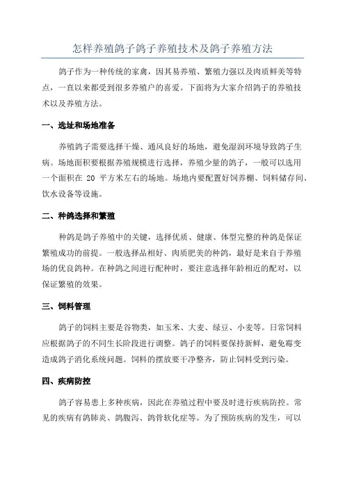 怎样养殖鸽子鸽子养殖技术及鸽子养殖方法