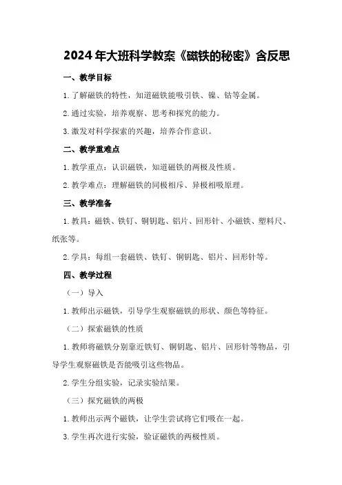 2024年大班科学教案《磁铁的秘密》含反思
