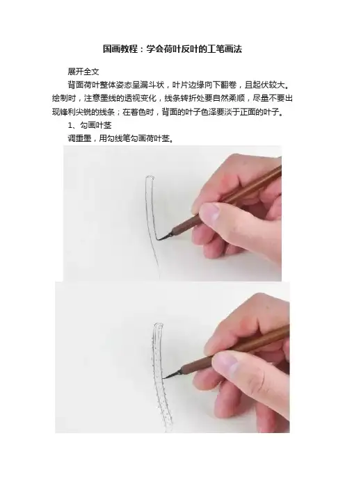 国画教程：学会荷叶反叶的工笔画法
