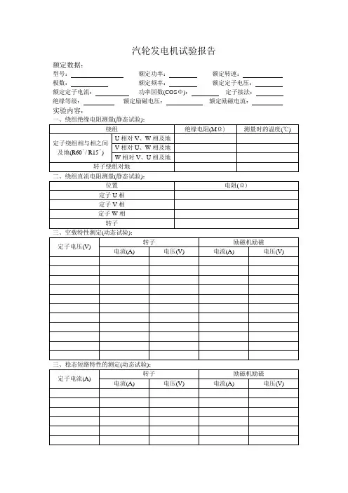 汽轮发电机试验报告