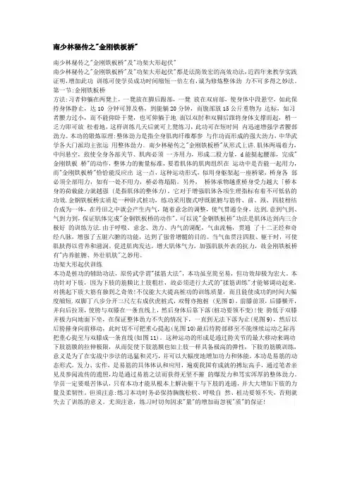 南少林秘传之金刚铁板桥