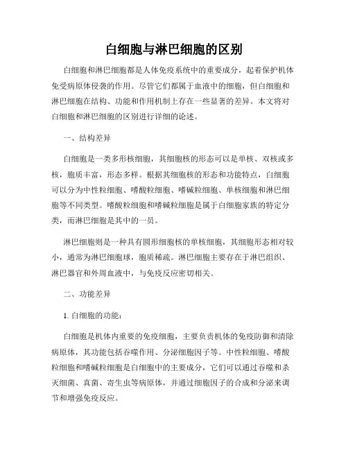 白细胞与淋巴细胞的区别