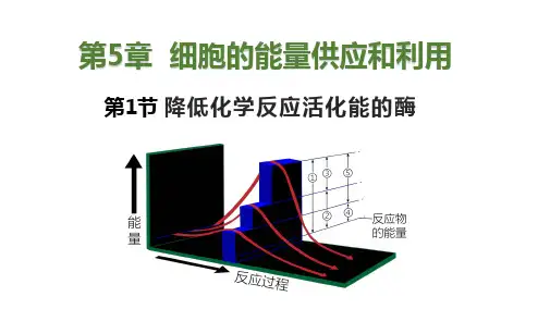 酶的作用和本质课件-高一生物人教版必修1