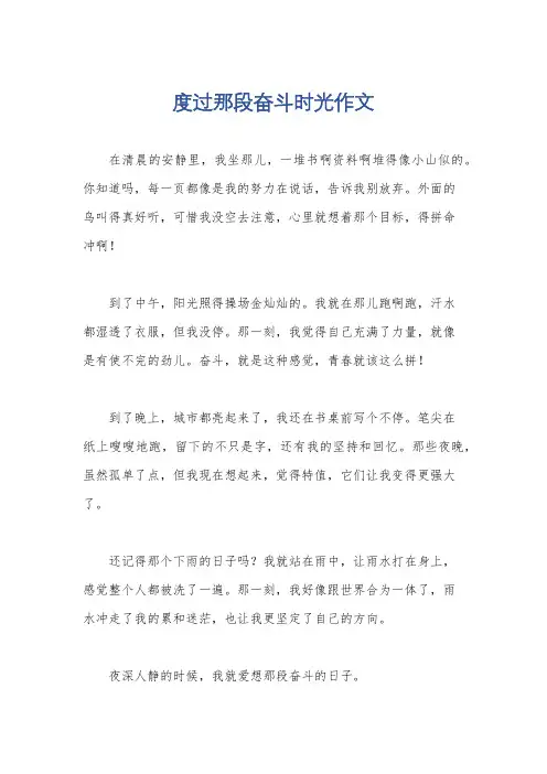 度过那段奋斗时光作文
