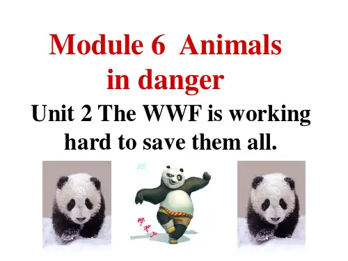 外研版英语(浙江专版)八年级上册教学课件：Module 6  Unit 2 The WWF is w