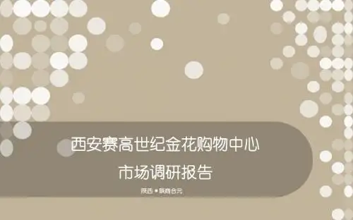 赛高国际街区市场调研报告