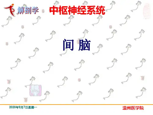 《系统解剖学》教学课件：20中枢神经系统-间脑