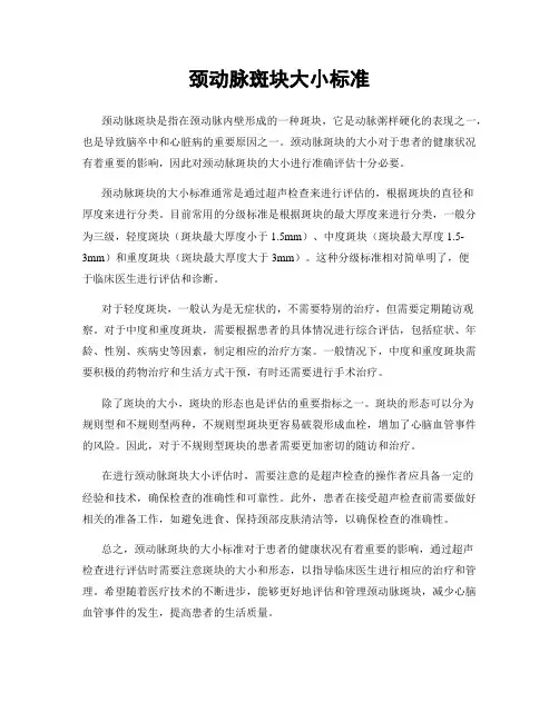 颈动脉斑块大小标准