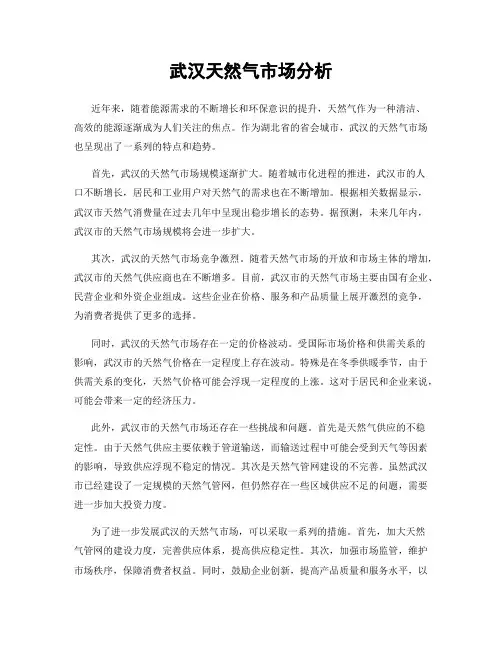 武汉天然气市场分析