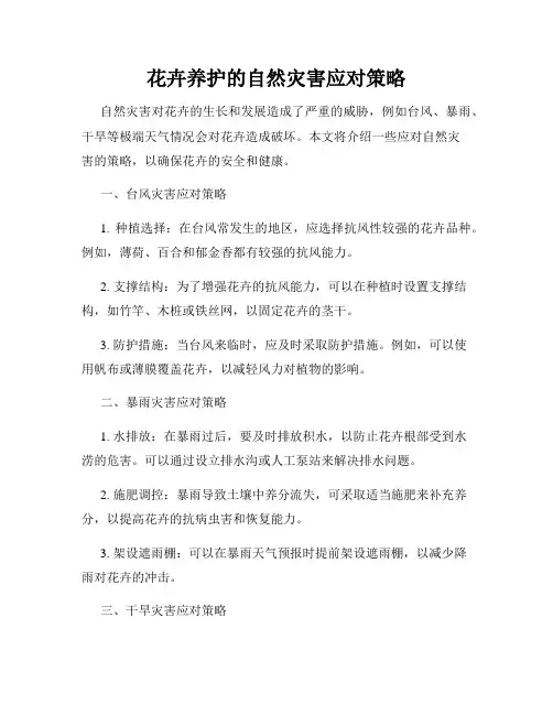 花卉养护的自然灾害应对策略