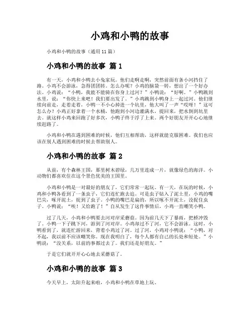 小鸡和小鸭的故事