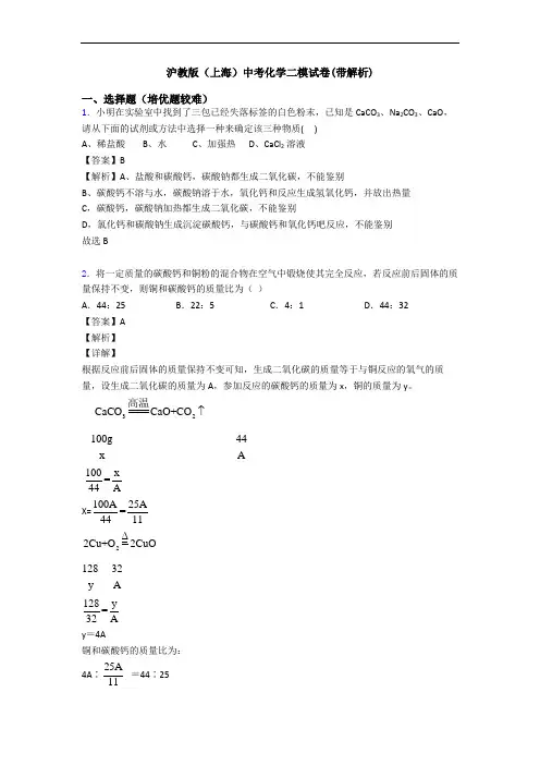 沪教版(上海)中考化学二模试卷(带解析)