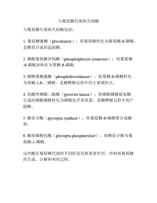 与葡萄糖代谢相关的酶