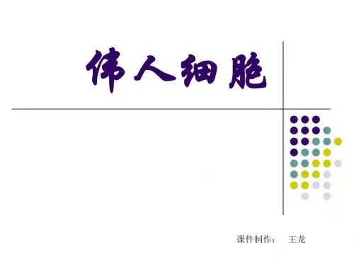 初中语文《伟人细胞》(共16张)ppt28
