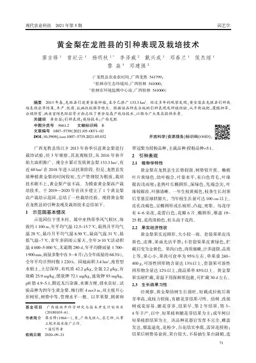 黄金梨在龙胜县的引种表现及栽培技术
