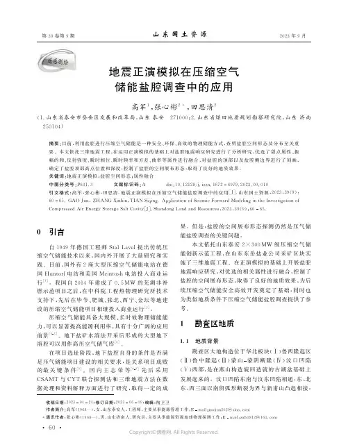 地震正演模拟在压缩空气储能盐腔调查中的应用