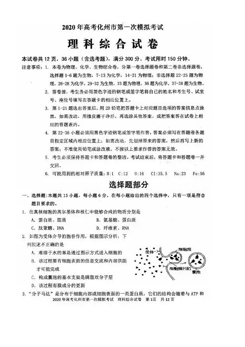 广东省化州市2020届高三理综上学期第一次模拟考试试题(扫描版)(最新整理)