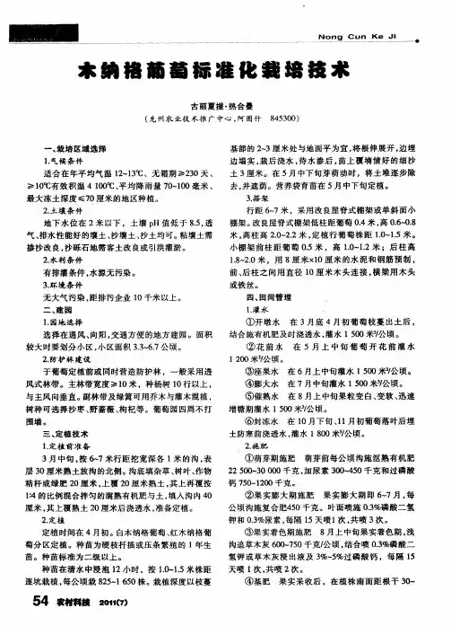 木纳格葡萄标准化栽培技术
