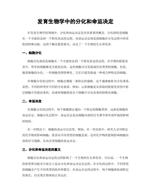发育生物学中的分化和命运决定