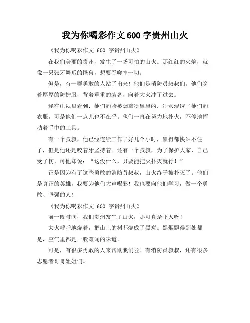 我为你喝彩作文600字贵州山火