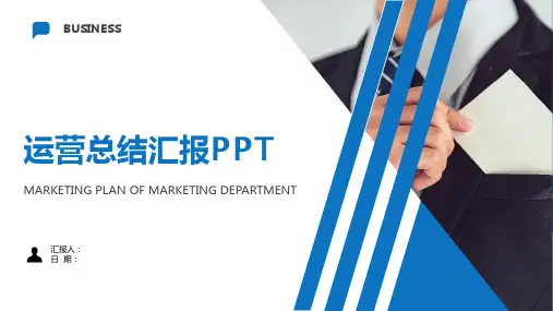 麦德龙市场营销工作总结PPT