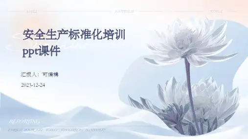 安全生产标准化培训ppt课件