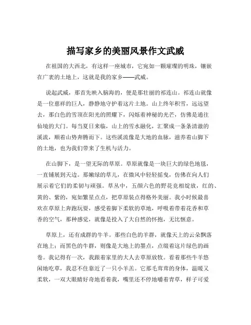 描写家乡的美丽风景作文武威