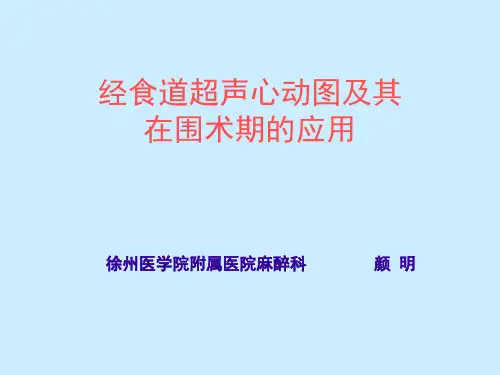 经食道超声心动图2012v