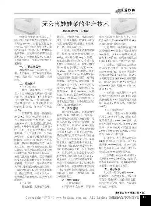 无公害娃娃菜的生产技术