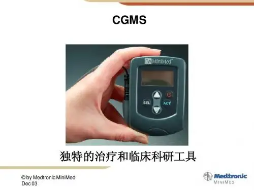 动态血糖测定