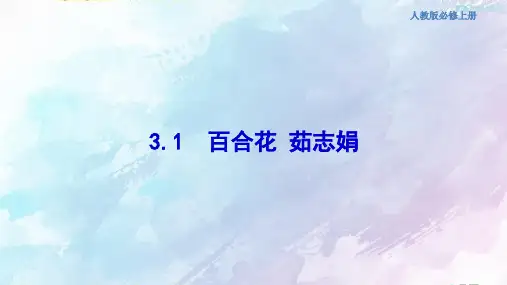 人教高中语文必修上 1 3 1 百合花 茹志娟 课件