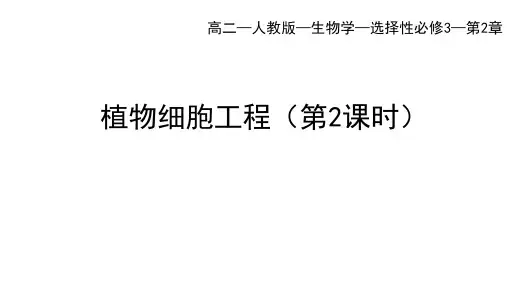 人教版高中生物选择性必修第3册 第2章 细胞工程 第1节 植物细胞工程(二)