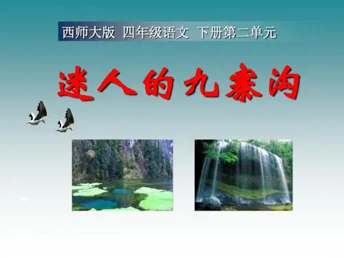 《迷人的九寨沟》ppt实用课件4
