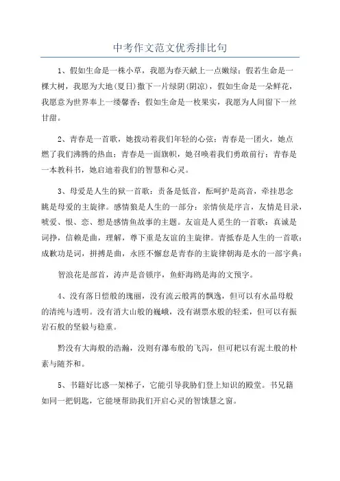 中考作文范文优秀排比句