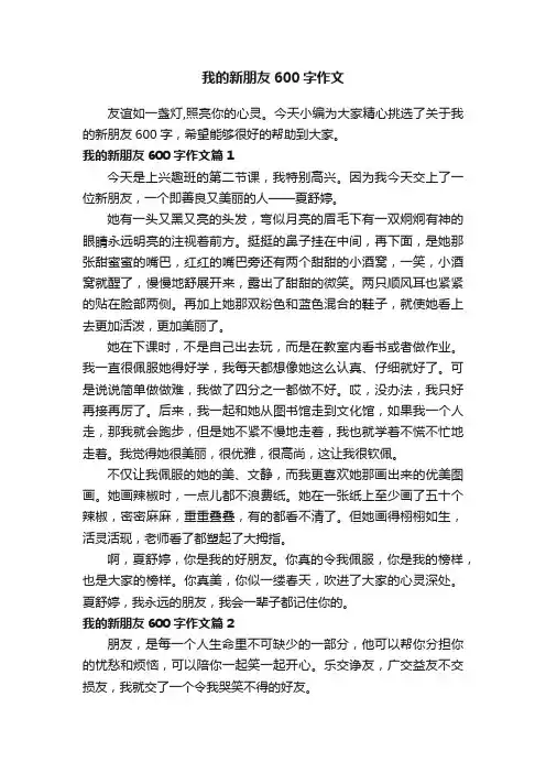 我的新朋友600字作文