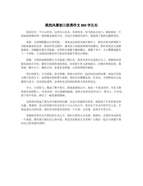 我的风景初三优秀作文800字左右