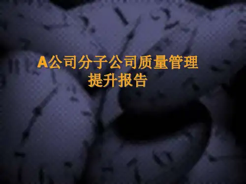 公司质量管理提升报告