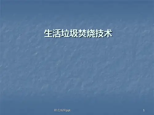 生活垃圾焚烧技术ppt课件