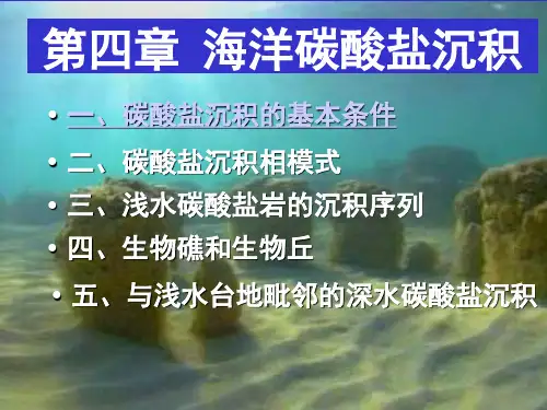 第五章海洋碳酸盐沉积
